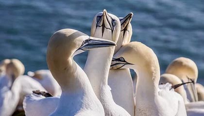 宣威最新的高价医保卡惠民保险代扣怎么取消掉了方法分享(宣威惠民医保怎么报销教程)